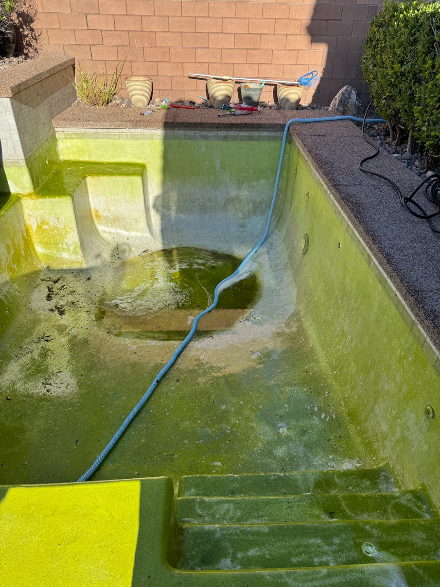 Pool before professional drain and cleaning service