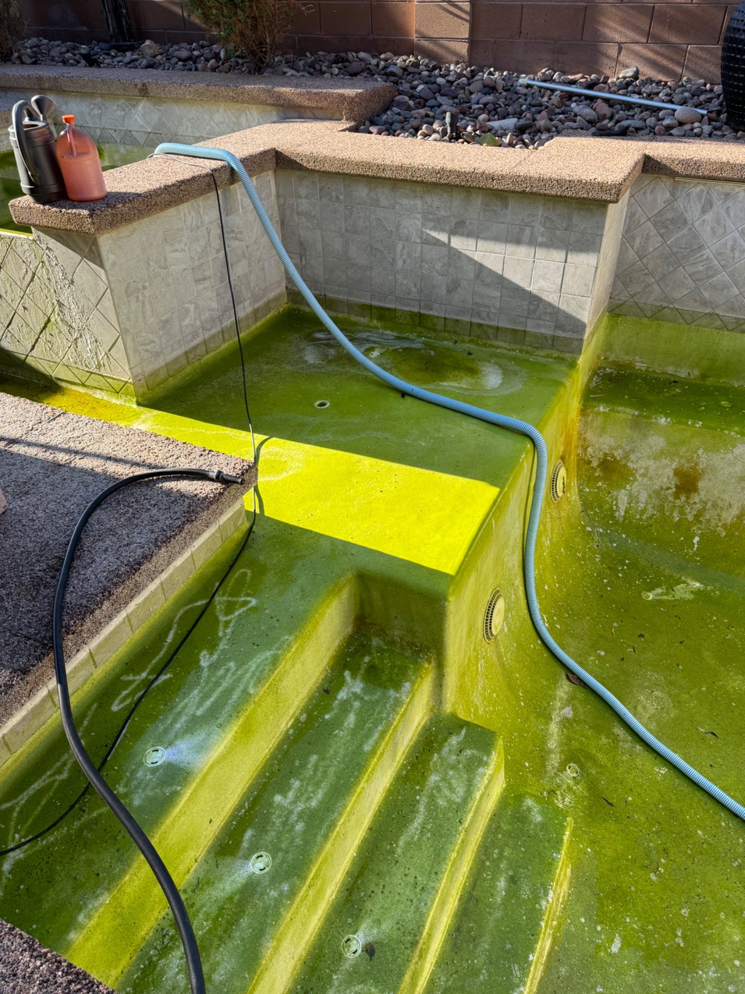 Spa before professional algae cleanup