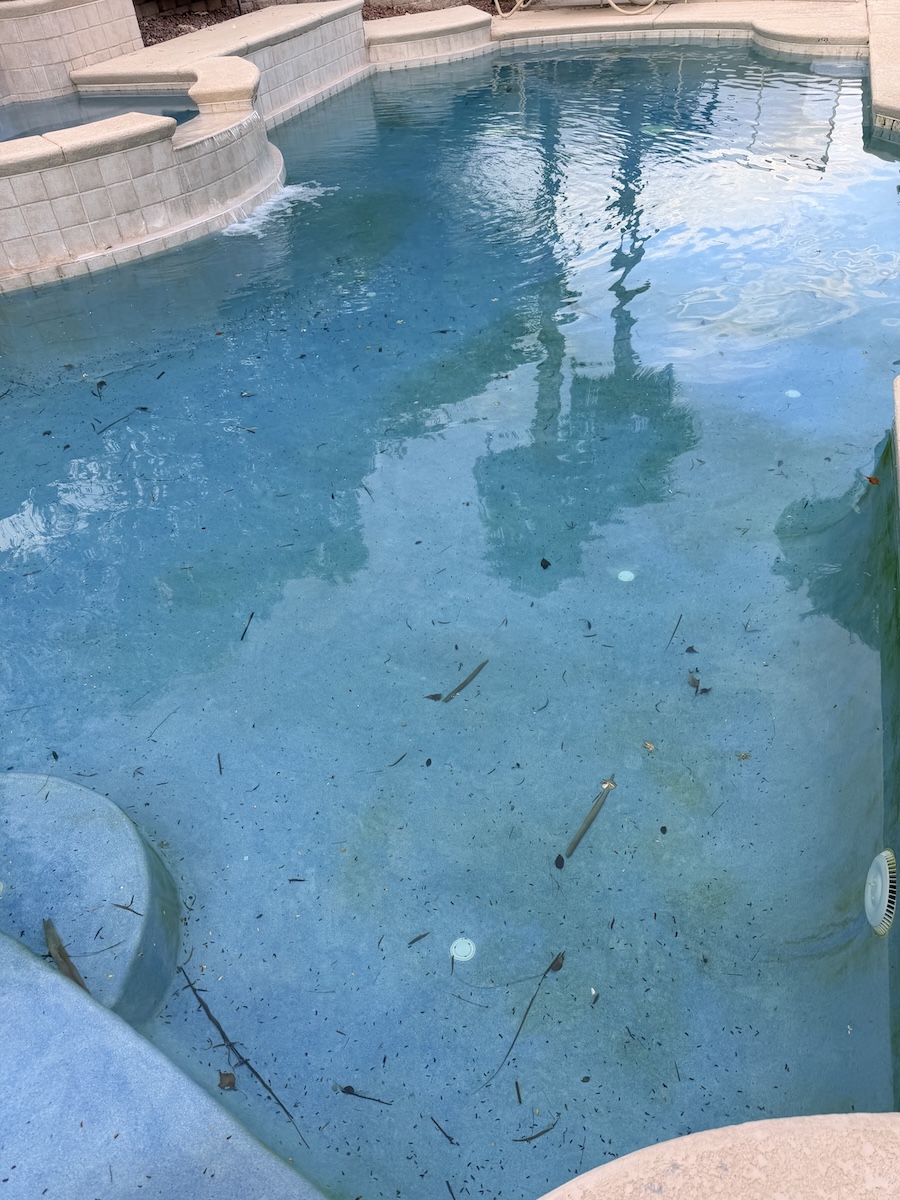 Pool before weekly service with leaves and debris