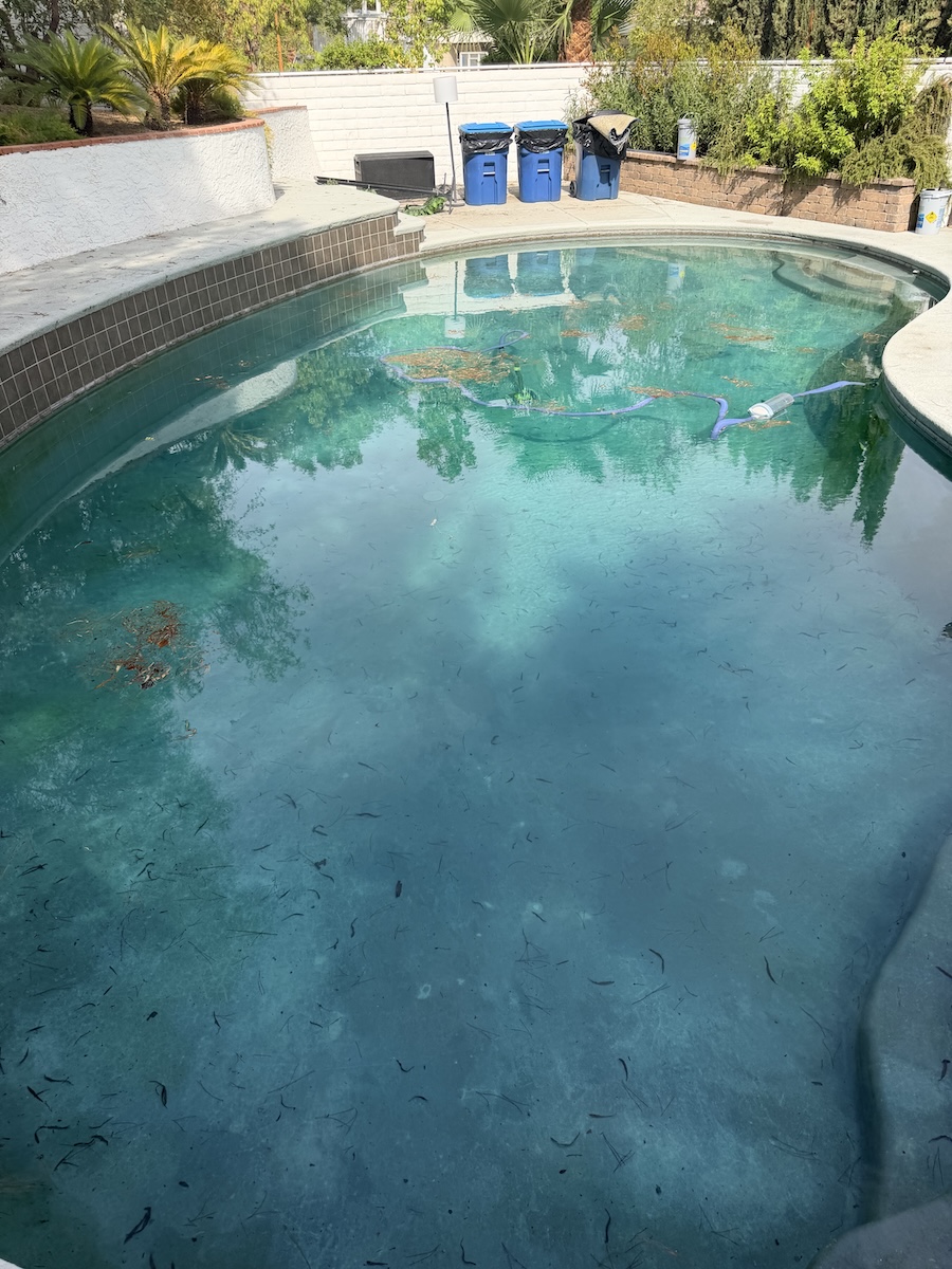 Pool before weekly service with leaves and debris