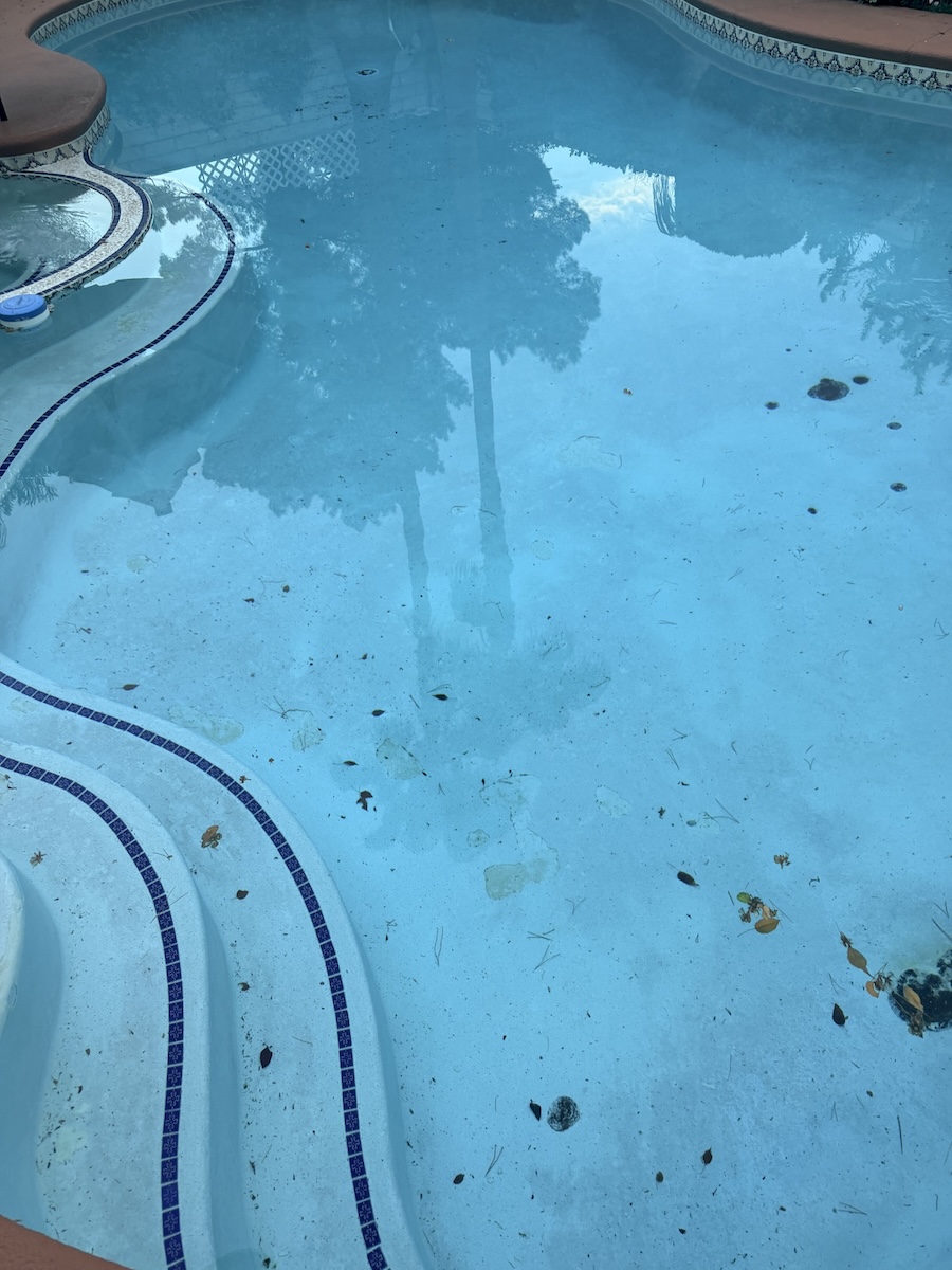 Pool before weekly service with leaves and debris