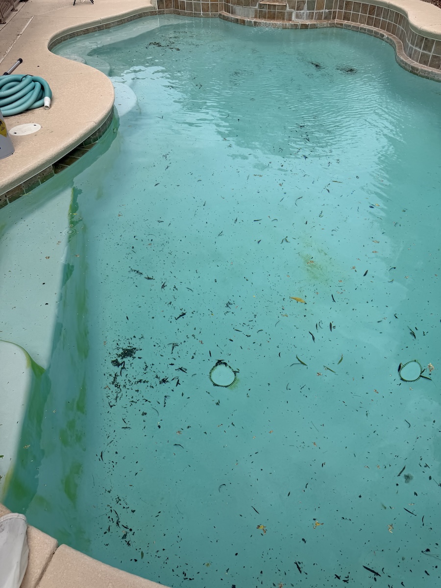 Pool before weekly service with leaves and debris