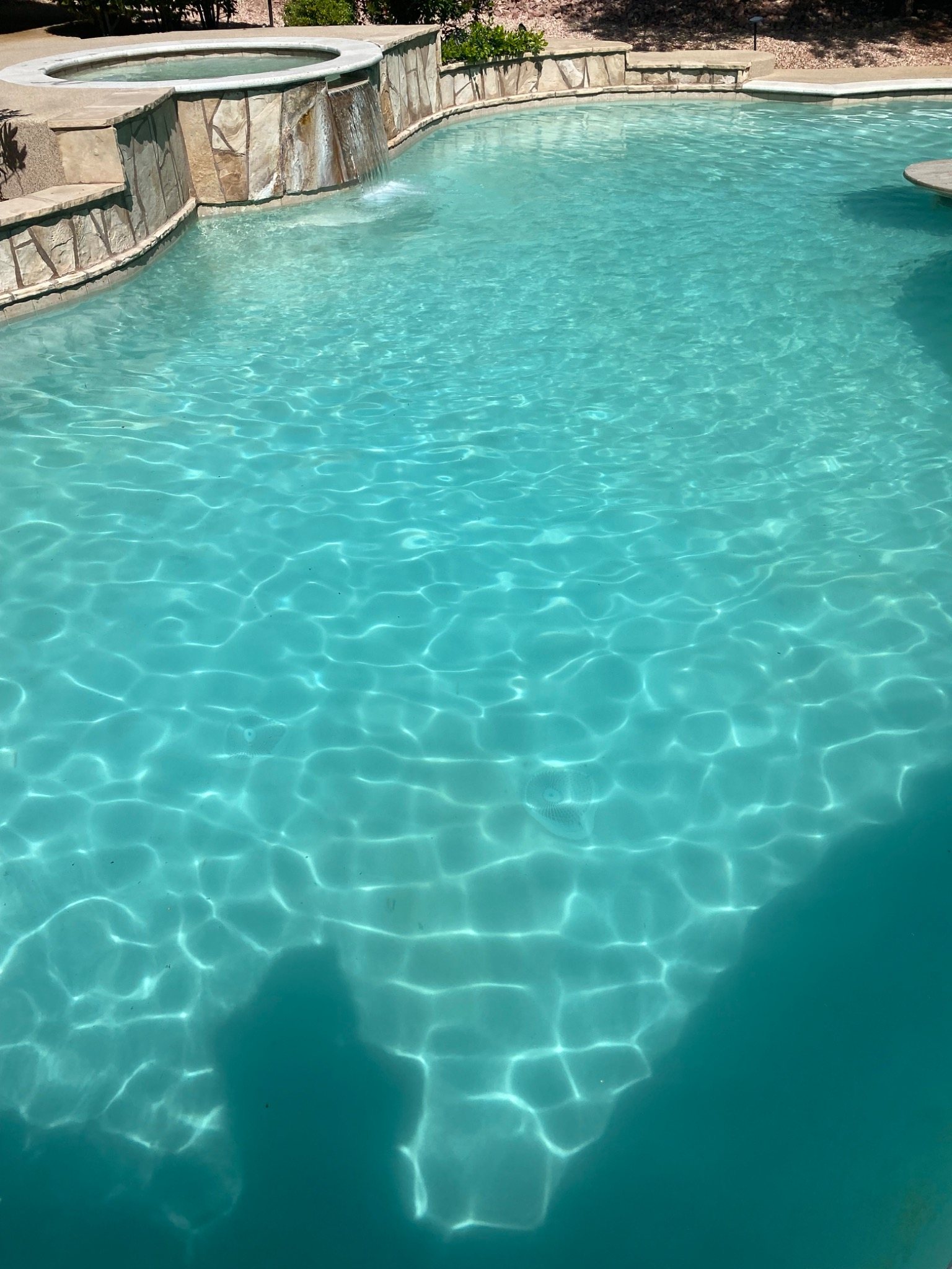 Clean backyard pool